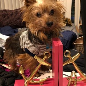 We ♥️ nautical items